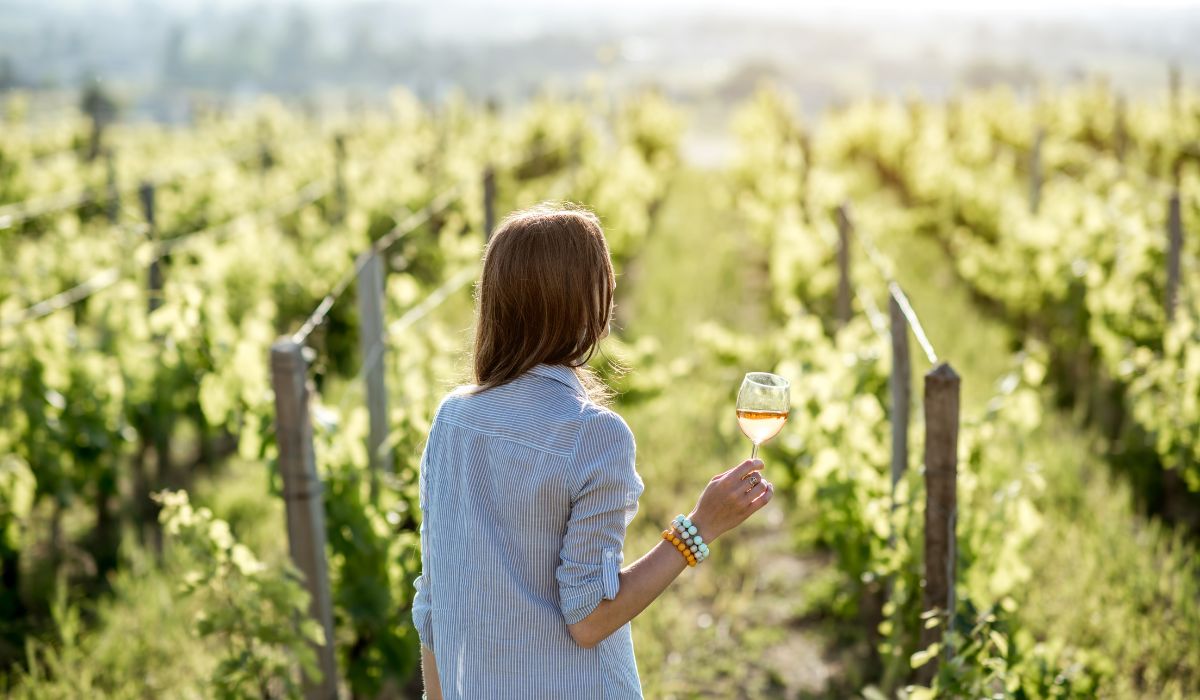 Discover Attica's hidden treasures, from fine wines to stunning Cape Sounio